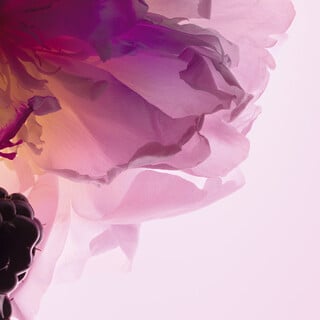 DIOR MISS DIOR